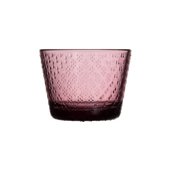 Iittala Tundra Calluna Tumbler Set of Two 16cl