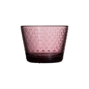 Iittala Tundra Calluna Tumbler Set of Two 16cl