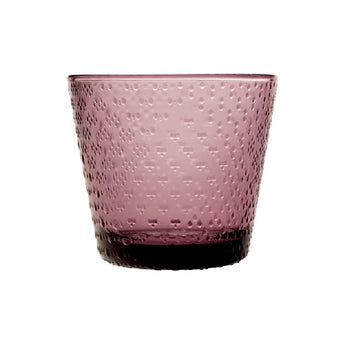 Iittala Tundra Calluna 玻璃杯兩件套 29cl