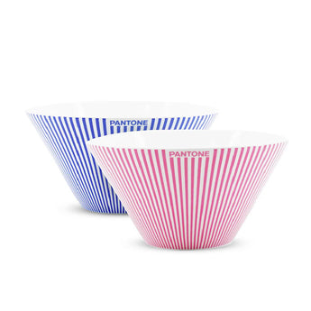 Pantone Salad Bowl Set - Iris and Fruitpunch