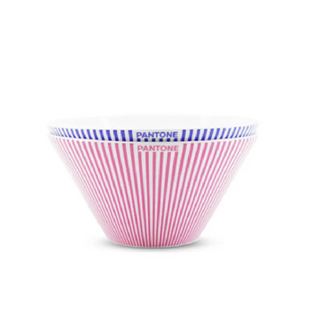 Pantone Salad Bowl Set - Iris and Fruitpunch