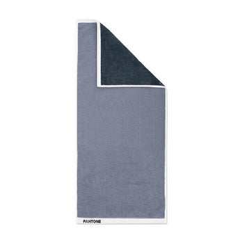 Pantone Towel 70x140cm - Silver Bullet x Parisian Light